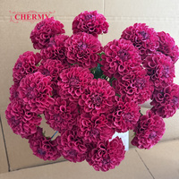Bunga Dahlia Buatan DC193 Real Touch Moisturizing Warna Pink, Bunga Palsu untuk Dekorasi Pernikahan & Rumah