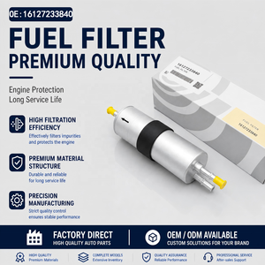 Vendita Diretta dalla Fabbrica di Filtri Carburante per Motori Auto di Alta Qualità, Adatti per BMW (Numero di Telefono: 16127233840) - Product Image 1