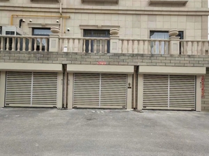 <span class=keywords><strong>Porte</strong></span> <span class=keywords><strong>de</strong></span> villa roulante en métal en spirale en aluminium rapide <span class=keywords><strong>porte</strong></span> <span class=keywords><strong>de</strong></span> <span class=keywords><strong>garage</strong></span> à rouleau automatique - Product Image 5