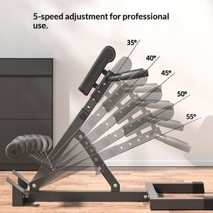 Chaise romaine d'hyperextension <span class=keywords><strong>pour</strong></span> musculation, équipement de fitness, prix direct usine - Product Image 3