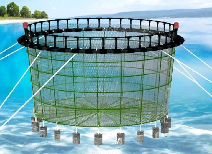 Aquaculture Tools Hdpe Pipe Seawater Fish Breeding Cage Culture Lantern Net For South Africa