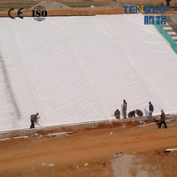 Géotextile non tissé multifonctionnel en PP/PET 300g-800g pour la protection côtière, le drainage des talus et la remise en état des terres