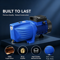 Pompe à jet auto-amorçante électrique DAYUAN, directement de l'usine, pour le relevage d'eau de puits et l'irrigation de jardin