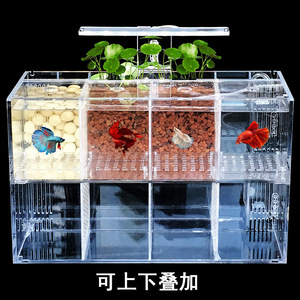 Mini réservoirs en acrylique transparent Table murale personnalisée Réservoirs de poissons d'aquarium en acrylique transparent Présentoir de réservoirs de poissons en acrylique Aquarium - Product Image 3