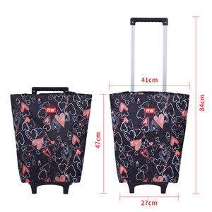 Carrito de Compras Plegable de 2 Ruedas de Poliuretano de 5.5 cm, Gran Capacidad, Cómodo, Resistente a la Oxidación, Impermeable, con Asa de Arrastre - Product Image 3