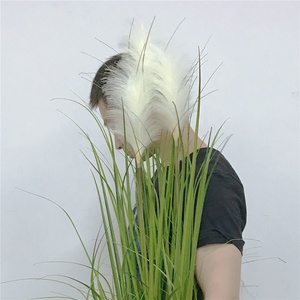 100cm Hauteur Artificielle <span class=keywords><strong>Pampa</strong></span> Roseau <span class=keywords><strong>En</strong></span> <span class=keywords><strong>Pot</strong></span> <span class=keywords><strong>De</strong></span> Plantes pour <span class=keywords><strong>La</strong></span> Décoration Artificielle Plante Arbres <span class=keywords><strong>En</strong></span> Plastique <span class=keywords><strong>De</strong></span> Couleur Verte 50 pièces - Product Image 1