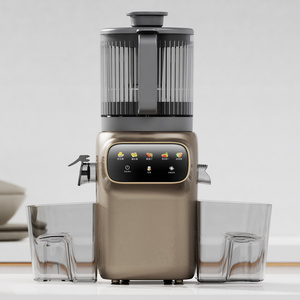 Extracteur de jus à froid électrique personnalisé à haut rendement, pour <span class=keywords><strong>lait</strong></span> de soja, avec grande goulotte d'alimentation de 6,30 pouces, pour smoothies, faible bruit, extracteur lent - Product Image 1