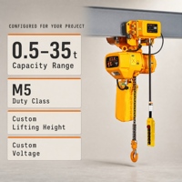 Palans électriques à chaîne de 1 tonne 220V 60Hz avec chariot de poussée pour poutre de grue à flèche