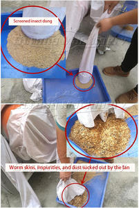 เครื่องแยกหนอนซุปเปอร์วอร์มอัตโนมัติประสิทธิภาพสูง เครื่องคัดแยกหนอนเหลือง ชิ้นส่วนแกนกลางมอเตอร์เกียร์ สแตนเลสสตีล เครื่องจักรแข็งแรง - Product Image 3