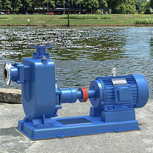 סדרת zw משאבת חשמל בלחץ גבוה קטן שפכים צנטריפוגלי ביוב עצמית עם 0.5hp dc מנוע גבוה 2hp/5hp - Product Image 2