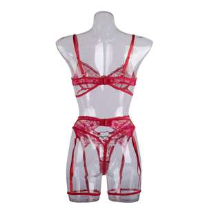 Ensemble de lingerie sexy pour femmes, dentelle rouge tendance, broderie, tentation, soutien-gorge en maille, ensemble amusant, vêtements pour femmes - Product Image 5