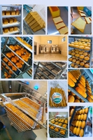 Four de boulangerie rotatif à gaz et électrique, modèle LG, pour la cuisson de patates douces et de brownies, idéal pour les boulangeries en Espagne, avec fonction de cuisson à la flamme, pour une production de 1 sac, fabriqué à Shanghai, Chine.