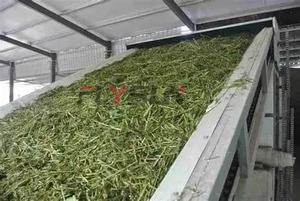 Déshydrateur automatique à bande maillée en acier inoxydable 304 pour courgettes, choux, piments - PLC et entraînement par engrenages, multi-chauffage - Product Image 2