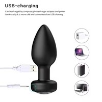 Fernbedienung Tragbare Vibration Anal Plug Sexspielzeug für Männer und Frauen Flirt Masturbation Massage gerät