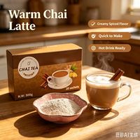 Thé Masala Chai instantané avec différentes saveurs de fruits, 20g par sachet, fournisseur d'usine