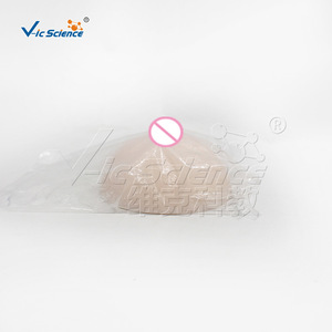 แบบจำลองเต้านม VIC-RF-4, แบบจำลองกายวิภาคเต้านม - Product Image 5