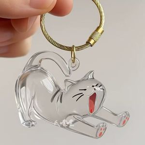 New Arrival Pet Keepsake Transparent keychain pendant <b>Cat</b> Memorial <b>cat</b> hair Commemorative storage <b>boxs</b> - Product Image 2