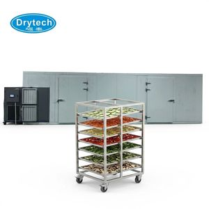 Déshydrateur alimentaire solaire automatique continu en acier inoxydable de grande capacité pour tranches d'orange - Product Image 4
