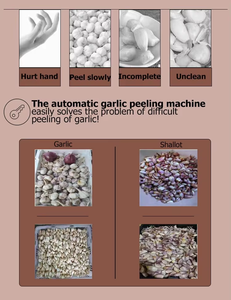 Machine à éplucher l'ail industrielle en acier inoxydable 150 kg/h, facile à utiliser, 200 W, grande capacité, éplucheur d'ail - Product Image 5