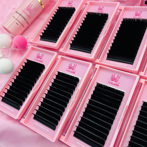 Private Label Extension Tray 0.03 0.05 0.07mm Cashmere <strong>Mink</strong> Silk Easy Graft Volume Korean PBT Natural <strong>Custom</strong> Extension <strong>Supplies</strong> - Product Image 2