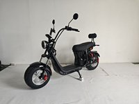 Citycoco Scooter électrique à 2 roues 1500w/2000w/3000w/4000w Motocyclettes Scooters Chopper Vélo électrique