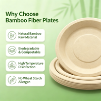 Assiettes en Fibre de Bambou Compostables (Lot de 50) – Plateaux Repas Résistants à l'Huile et aux Fuites, Adaptés au Micro-ondes – Idéales pour Fêtes, Mariages, Camping, Pique-niques
