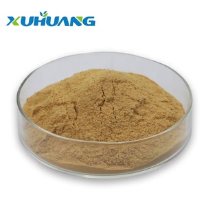 Aditivo Alimentario, Extracto <span class=keywords><strong>de</strong></span> Seda <span class=keywords><strong>de</strong></span> Maíz en Polvo, Extracto <span class=keywords><strong>de</strong></span> Estigmas <span class=keywords><strong>de</strong></span> Maíz Altamente Soluble en Agua - Product Image 1
