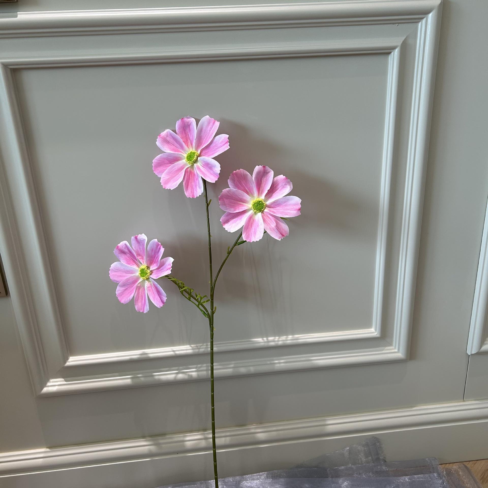 Xkl gesang light pink