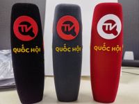 Usine personnalisée de haute qualité résistant à la déchirure isolation sonore flocage Microphone éponge pare-brise pour Radio TV