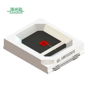Free Sample Epistar Sanan Chip 2835 Red Light SMD LED Chip 620nm 660nm 730nm 850nm 0.2W 0.5W SMD 2835 LED Chip