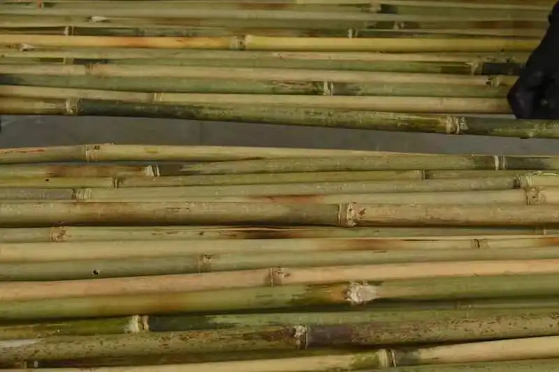 umweltfreundlich dekorativer garten 2024 fabrikpreis gute qualität günstiger bambuszaun für den gartengebrauch