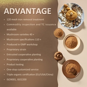 Hữu cơ Shiitake chiết xuất Polysaccharide 30% đậu quả cơ thể chiết xuất lentinus edodes với <span class=keywords><strong>TC</strong></span> chứng nhận - Product Image 6