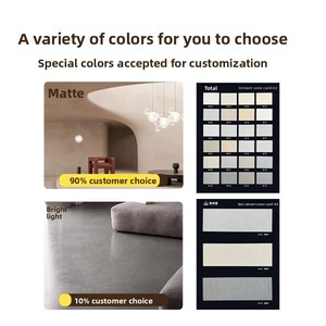 Revestimientos de Microcemento para Decoración de Paredes, Antideslizantes, Impermeables, Ignífugos y Resistentes al Calor, a Bajo <span class=keywords><strong>Precio</strong></span> - Product Image 2