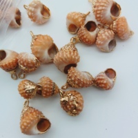 Berbagai Liontin Kerang Pantai Scallop Baru yang Cantik, Gaya Conch, Berlapis Emas Alami, Liontin Kerang Kecil Nan Indah, Manik-Manik Kerang Kecil Nan Menawan