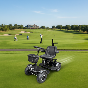 KALOSSE J08 <span class=keywords><strong>Voiturette</strong></span> de golf/buggy pour 1 personne handicapée, moteur 1000W, avec contrôleur Curtis, cadre en acier, batterie au lithium rechargeable 24V - Product Image 4