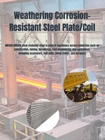 Plaque de chaudière standard ASTM laminée à chaud avec services de soudage et de pliage Bobine en acier résistant à la corrosion S30C S35C