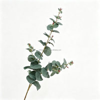 Ranting Eucalyptus Buatan Berkualitas Tinggi L-598, Daun Perak, Tangkai Panjang, Sentuhan Alami, Ramah Lingkungan, Bersertifikat CE, Cocok untuk Pernikahan