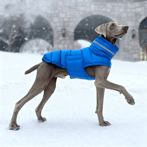 ג 'קט פוליאסטר עיצוב מותאם אישית רפלקט ג' קט פוליאסטר לשמור על כלב חם עמיד למים למטה האפוד יוקרתי לחיות מחמד בחורף - Product Image 2