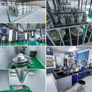 Fabrika kaynağı psyseed tohum kabuğu özü 99% toplu psybulk kabuğu tozu - Product Image 6