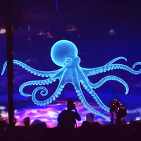 Nouveau produit Écran de projection en maille holographique avec le meilleur projecteur holographique 3D en gaze