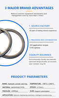 Joint de piston en PTFE Yilin OEM résistant aux hautes températures pour pompe haute pression, taille et matériau personnalisables, certifié ISO 9001