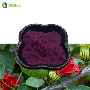 Hibiskus-Sabdariffa-Blütenextrakt 15% Anthocyanine Lebensmittelqualität Roselle-Pulver Erhältlich in Flaschen/Trommel-Verpackung - Product Image 1