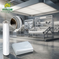 Film polyéthylène haute transmission et durable pour serres, destiné aux laboratoires de technologie agricole intelligente de pointe
