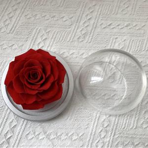 Lovebay Rosas Naturales Reales de Larga Duración, Inmortales, Eternas, Conservadas en Campana de Cristal para Regalo de San Valentín - Product Image 3