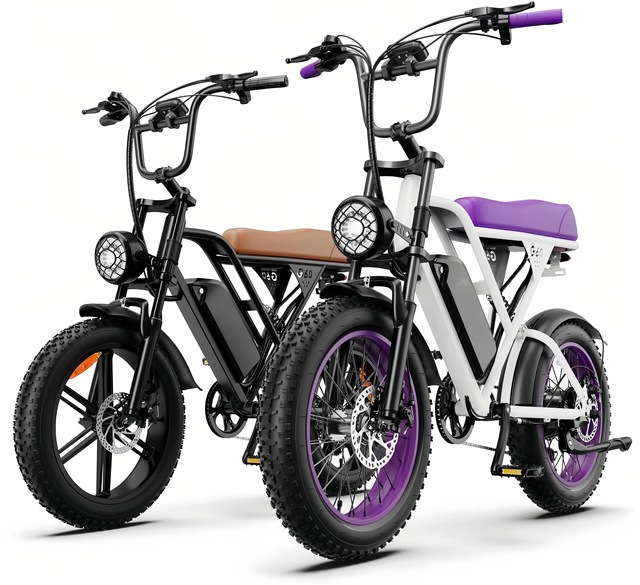 G60 Electric Hybrid Bike 20inch Black Fat Tire City Road 50-60km Range Lithium Battery Brushless Motor EU/US/NL Warehouse