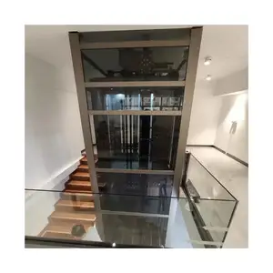 Modernos elevadores residenciales cuadrados 2-3 personas Indoor Home Lift