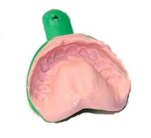 ถาดพลาสติกพิมพ์ลายฟัน IM002C zogear สีสันสดใส - Product Image 6