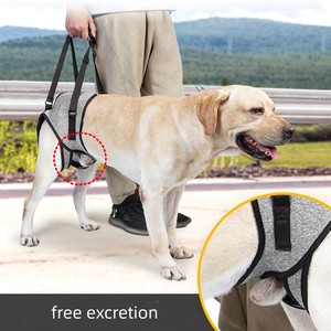 Blessures articulaires Personnes âgées et arthrite Aide au harnais de soutien pour chien harnais de levage pour chien jambes arrière harnais pour animaux de compagnie - Product Image 2