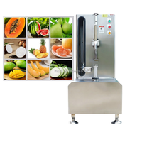 Éplucheur automatique de peau de mangue Éplucheur de mangue électrique Éplucheur de mangue verte Machine Éplucheur d'oeil d'ananas