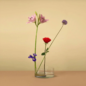 Cuenco y <span class=keywords><strong>Kenzan</strong></span> para Ikebana de Esschert Design para Arreglos Florales de Interior - Product Image 6